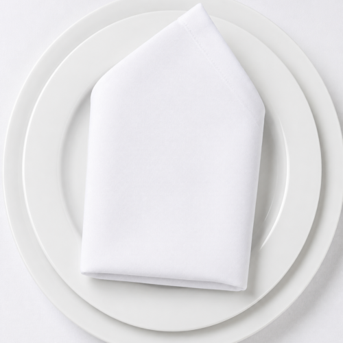 SERVILLETA BLANCA HOSTELERIA